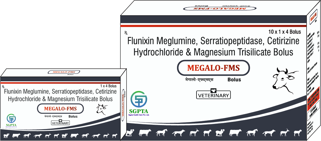 MEGALO-FMS Bolus
